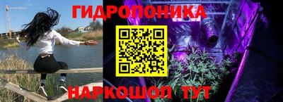 ПСИЛОЦИБИНОВЫЕ ГРИБЫ Новодвинск