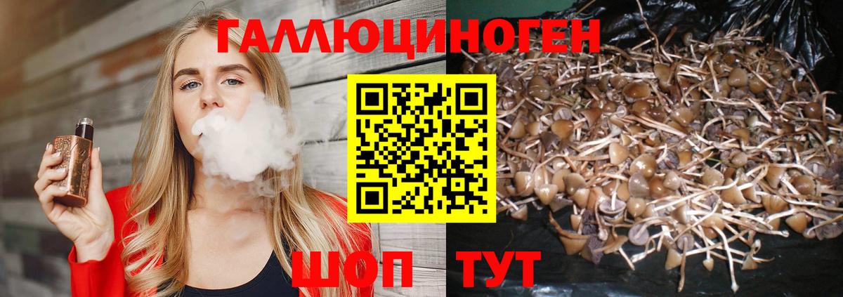 Галлюциногенные грибы мухоморы Тула