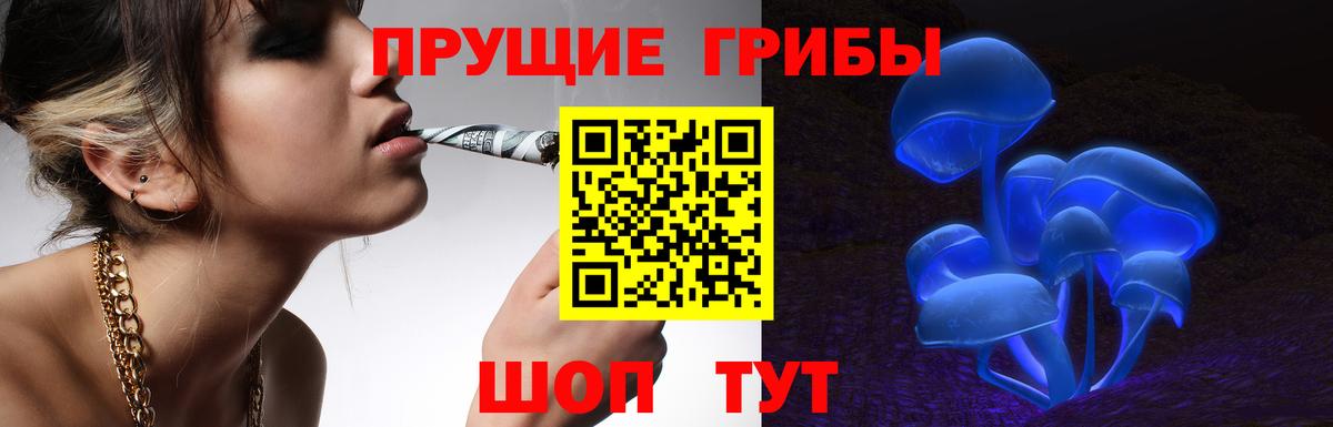 Тула  Галлюциногенные грибы GOLDEN TEACHER  Галлюциногенные грибы Magic Shrooms  Вход с VPN 